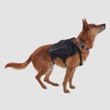 ULTIMATE DIRECTION Ultimate Direction Dog Vest
