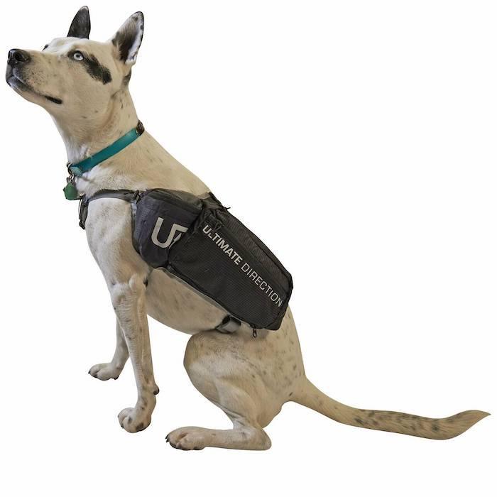 ドッグベスト DOG VEST [ULTIMATE DIRECTION アルティメイトディレクション] - STRIDE LAB ONLINE STORE（ストライド ラボ）