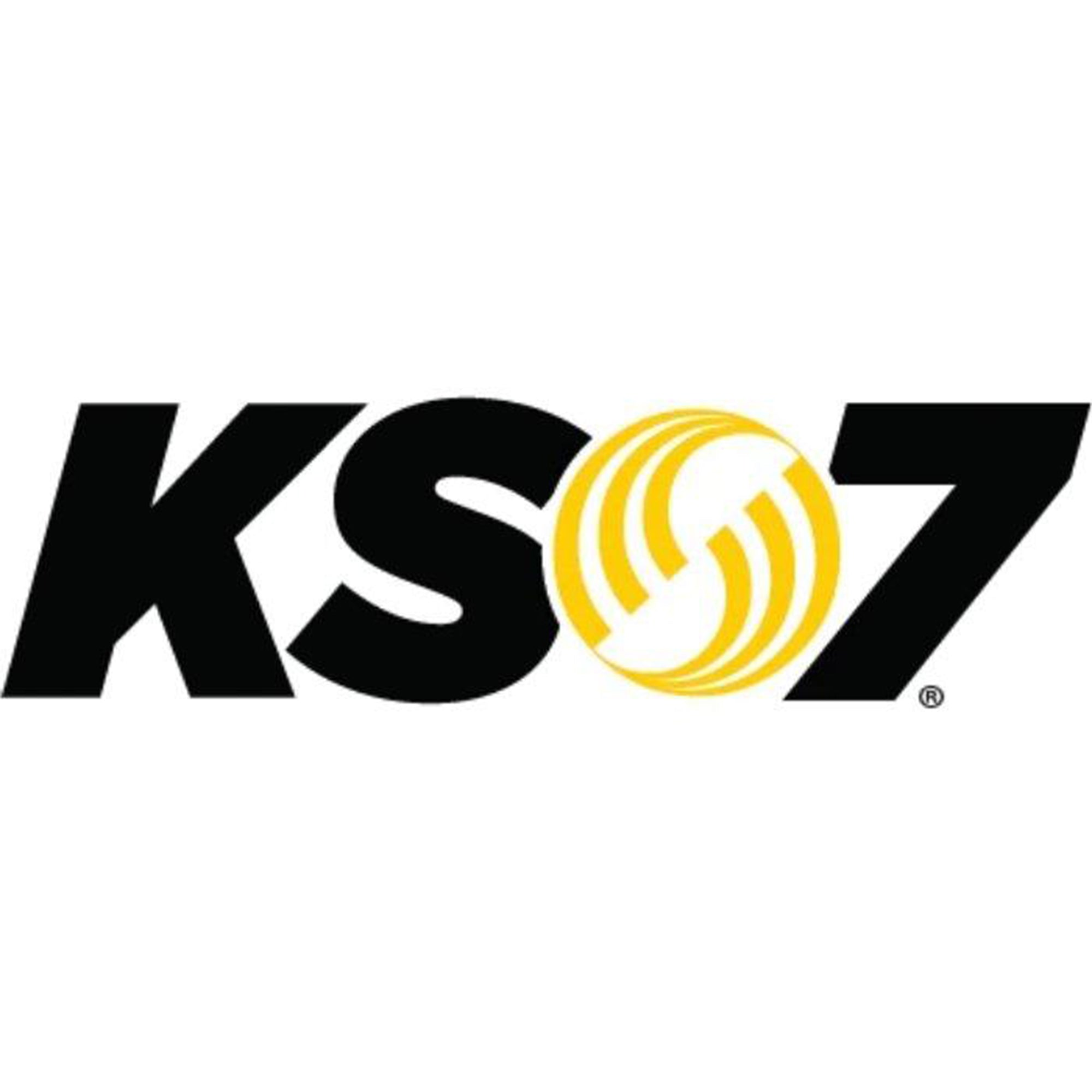 (S size) KS7 Performance Nice Leave Elbow Supporter PERFORMANCE KNEEE SLEEVE [OS1ST OS Fast]